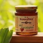 eucalyptus honey